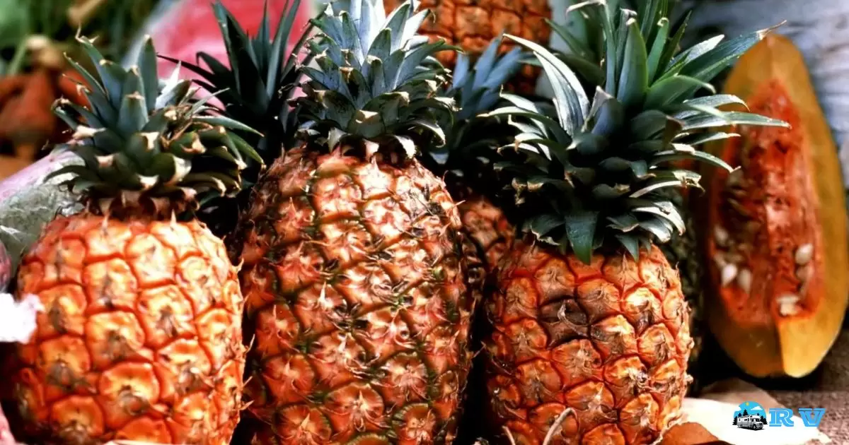 What Does A Pineapple Mean In An RV Park?