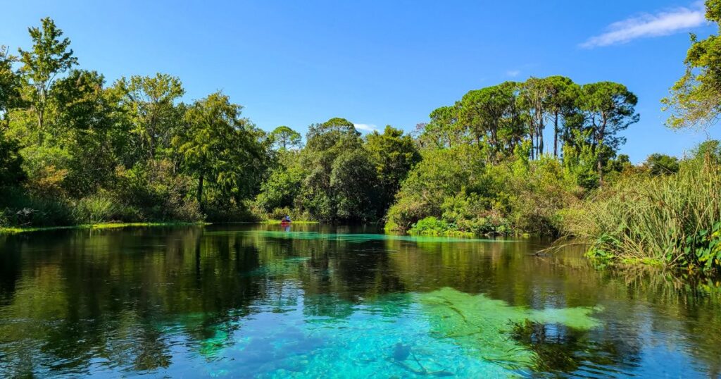 How to Spend an Amazing Day at Weeki Wachee Springs State Park