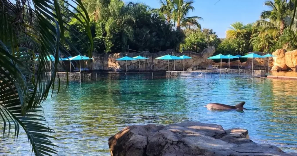 Relax in Paradise at Discovery Cove