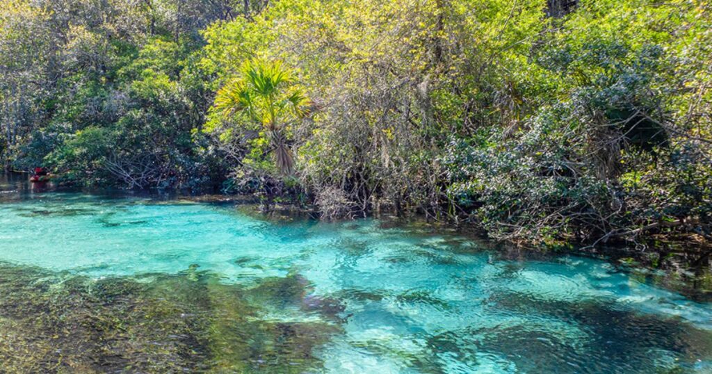 Tips for Spending a Day at Weeki Wachee
